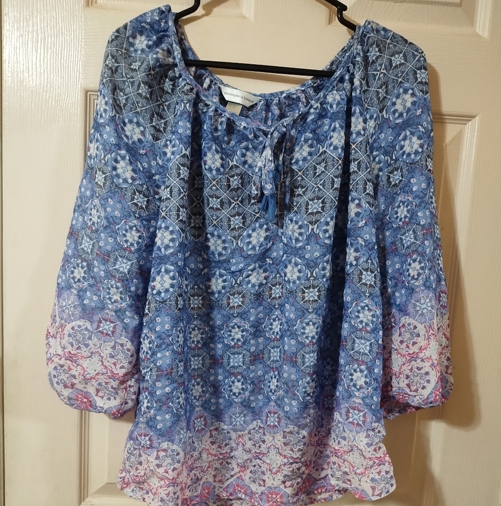 Christopher & Banks Floral Blue and Pink Blouse